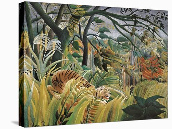 Tiger in a Tropical Storm (Surprised!)-Henri Rousseau-Stretched Canvas