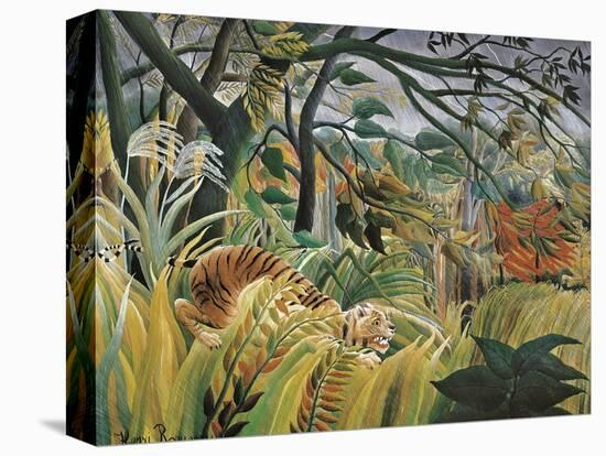 Tiger in a Tropical Storm (Surprised!)-Henri Rousseau-Stretched Canvas