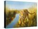 Tiger In The Indian Sunderbans-Leonard Pearman-Stretched Canvas
