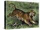 Tiger in the Wild, 1800s-null-Premier Image Canvas