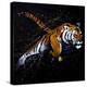 Tiger Jumping-null-Stretched Canvas