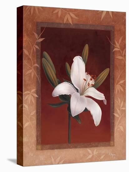 Tiger Lily-Vivien Rhyan-Stretched Canvas