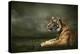 Tiger Looking And Sitting Under Dramatic Sky With Clouds-yuran-78-Premier Image Canvas