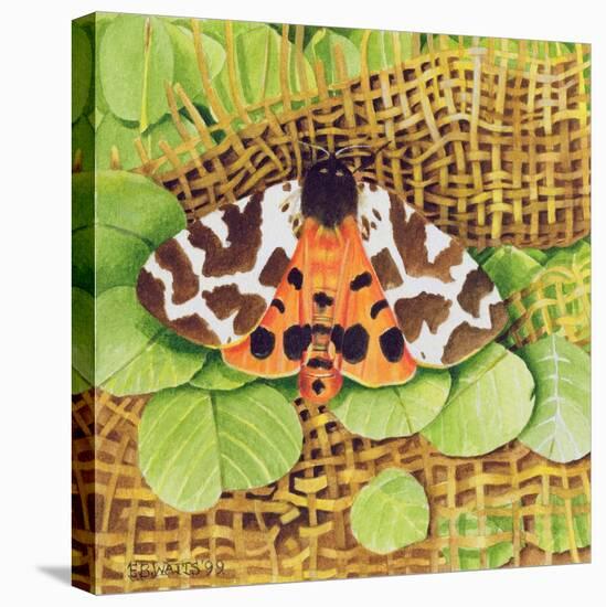 Tiger Moth, 1999-E.B. Watts-Premier Image Canvas