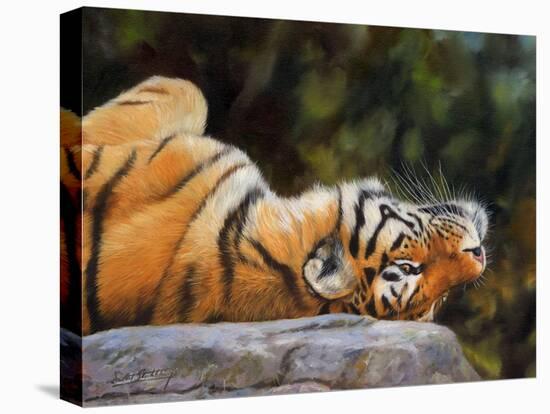 Tiger on Back-David Stribbling-Stretched Canvas