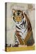 Tiger Perseverance-Jenny McGee-Stretched Canvas