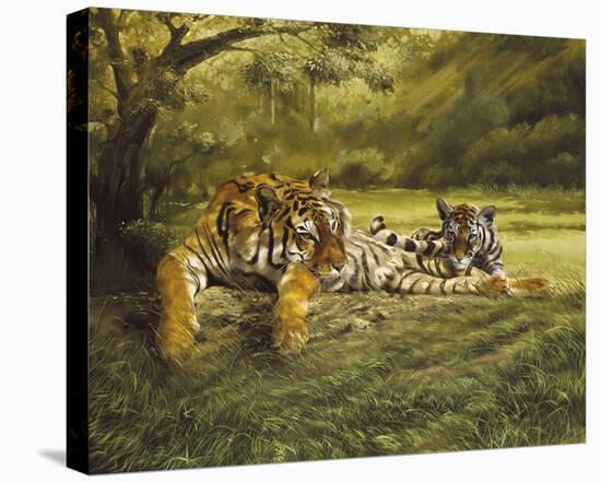 Tiger's Eye-Spencer Hodge-Stretched Canvas