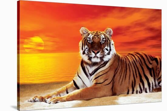 Tiger-null-Stretched Canvas