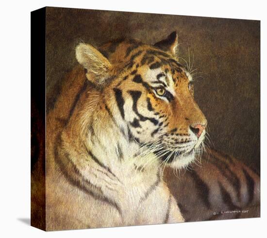 Tiger-Chris Vest-Stretched Canvas