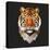 Tiger-Lora Kroll-Stretched Canvas