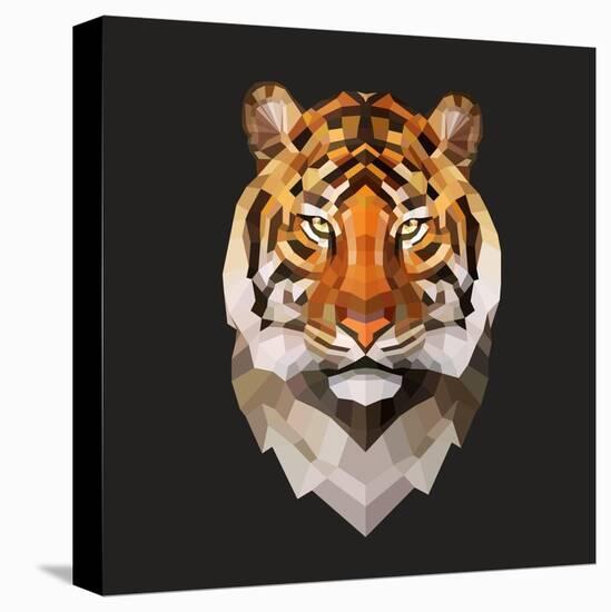 Tiger-Lora Kroll-Stretched Canvas