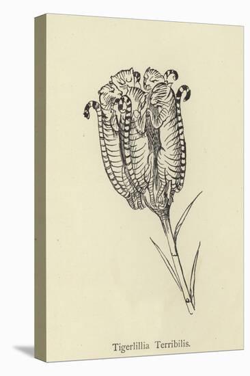 Tigerlillia Terribilis-Edward Lear-Premier Image Canvas