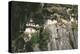 Tigers Nest Monastery, Bhutan-Vivienne Sharp-Premier Image Canvas