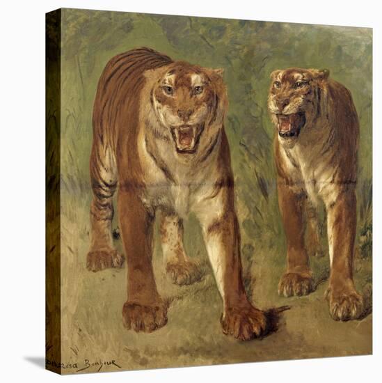 Tigre royal furieux-Rosa Bonheur-Premier Image Canvas
