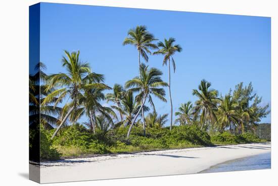 Tihiti beach, Elbow Cay, Abaco Islands, Bahamas, West Indies, Central America-Jane Sweeney-Premier Image Canvas