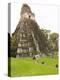 Tikal National Park (Parque Nacional Tikal), UNESCO World Heritage Site, Guatemala, Central America-Michael DeFreitas-Premier Image Canvas