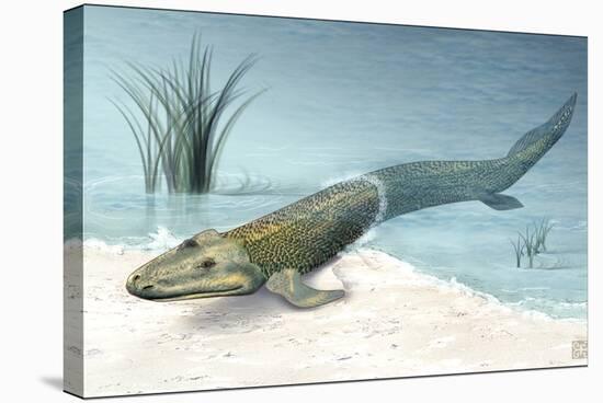 Tiktaalik Prehistoric Fish, Artwork-National Science Foundation-Premier Image Canvas