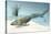 Tiktaalik Prehistoric Fish, Artwork-National Science Foundation-Premier Image Canvas