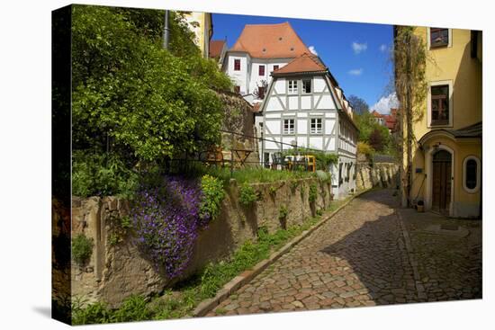 Timber-Frame at the 'Freiheit' in the Old Town of Mei§en-Uwe Steffens-Premier Image Canvas