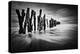 Timber Graffiti-Sobul-Premier Image Canvas