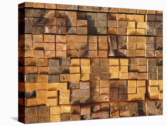 Timber, Stacked-Thonig-Premier Image Canvas