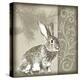 Timberland Bunny-Dorothea Taylor-Stretched Canvas