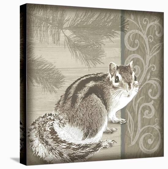 Timberland Squirrel-Dorothea Taylor-Stretched Canvas