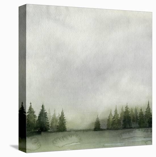 Timberline II-Grace Popp-Stretched Canvas