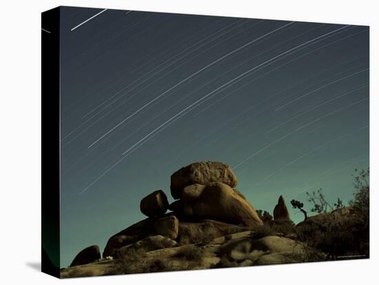 Time Exposure at Night, Joshua Tree National Park, California-Aaron McCoy-Premier Image Canvas