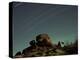 Time Exposure at Night, Joshua Tree National Park, California-Aaron McCoy-Premier Image Canvas