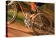 Time-exposure Image of a Cyclist Riding a Bicycle-Jeremy Walker-Premier Image Canvas