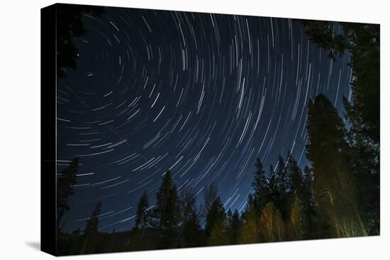 Time Lapse Photograph Showing Star Trails Above the Forest Near Lake Tahoe, California-James White-Premier Image Canvas