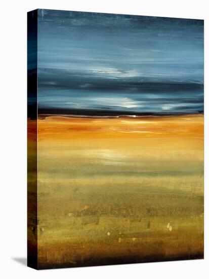 Time Stands Still III-Lisa Ridgers-Stretched Canvas