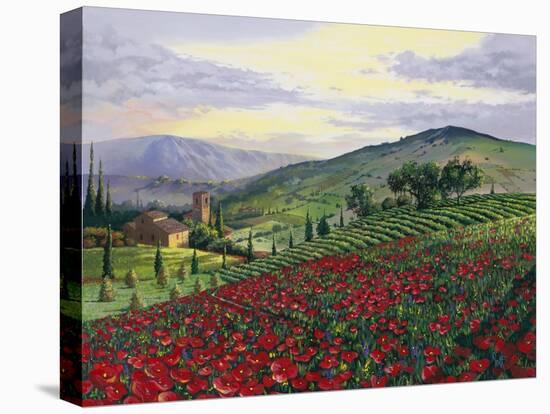 Timeless Tuscany-Scott Westmoreland-Stretched Canvas