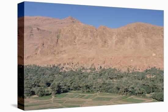 Tinerhir, Morocco-Vivienne Sharp-Premier Image Canvas