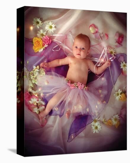 Tinkerbell-Linda Johnson-Stretched Canvas