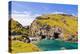 Tintagel Castle, Tintagel, Cornwall, England, United Kingdom, Europe-Kav Dadfar-Premier Image Canvas