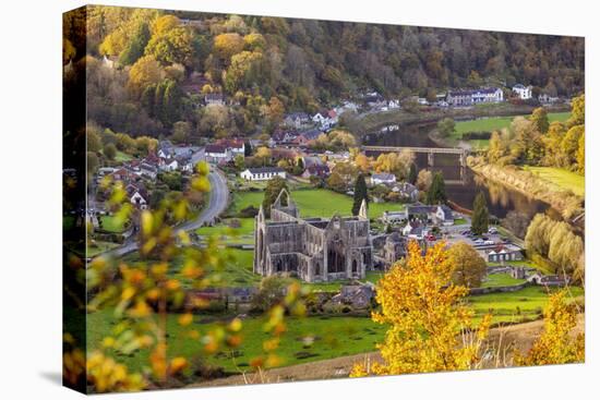 Tintern Abbey, Wye Valley, Monmouthshire, Wales, United Kingdom, Europe-Billy Stock-Premier Image Canvas