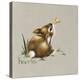 Tiny Bunny-Peggy Harris-Premier Image Canvas