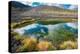 Tiny pond created by violent volcanic forces: eruption of the Eyjafjallajokull volcano, Iceland.-Betty Sederquist-Premier Image Canvas