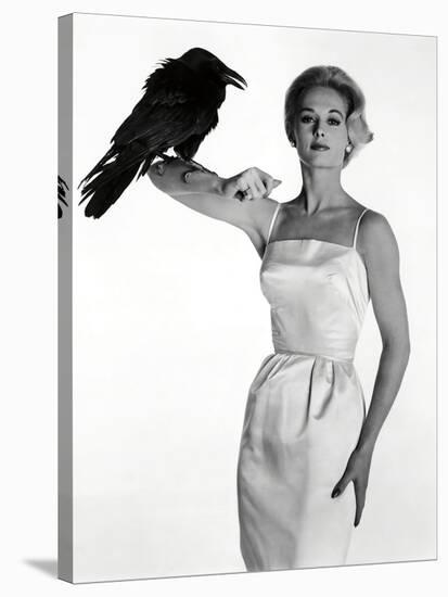 Get Tippi Hedren The Birds 1963 Directed By Alfred Hitchcock For Free Wallpaper Tippi Hedren The Birds 1963 Directed By Alfred Hitchcock Free HD