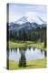 Tipsoo Lake. Mt. Rainier National Park, WA-Justin Bailie-Premier Image Canvas