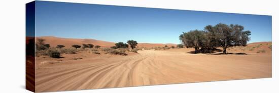 Tire Tracks in an Arid Landscape, Sossusvlei, Namib Desert, Namibia-null-Premier Image Canvas