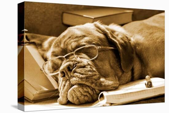 Tired Dog Sleeping At Her Lessons In Sepia Tone-vitalytitov-Premier Image Canvas