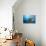 Titan Triggerfish (Balistoides Viridescens)-Reinhard Dirscherl-Premier Image Canvas displayed on a wall