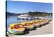 Titisee, Titisee Neustadt, Black Forest, Baden-Wurttemberg, Germany-Markus Lange-Premier Image Canvas