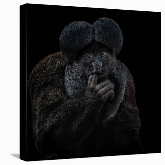 To Be or Not to Be - Chiropotes Chiropotes-Mathilde Guillemot-Premier Image Canvas