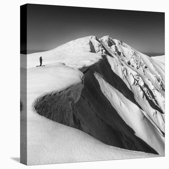 To Go, Or Not?-Matej Rumansky-Premier Image Canvas