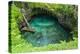 To Sue Ocean Trench in Upolu, Samoa, South Pacific-Michael Runkel-Premier Image Canvas