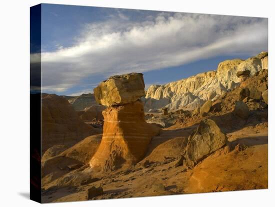 Toadstool Caprocks, Grand Staircase, Escalante National Monument, Utah-Tim Fitzharris-Stretched Canvas